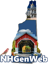 New Hampshire Logo